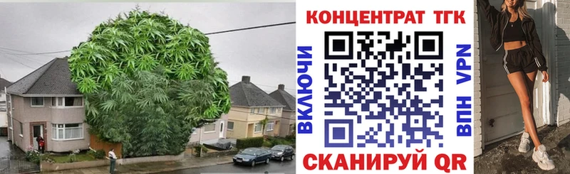 закладки  Ханты-Мансийск  mega как войти  ТГК вейп с тгк 
